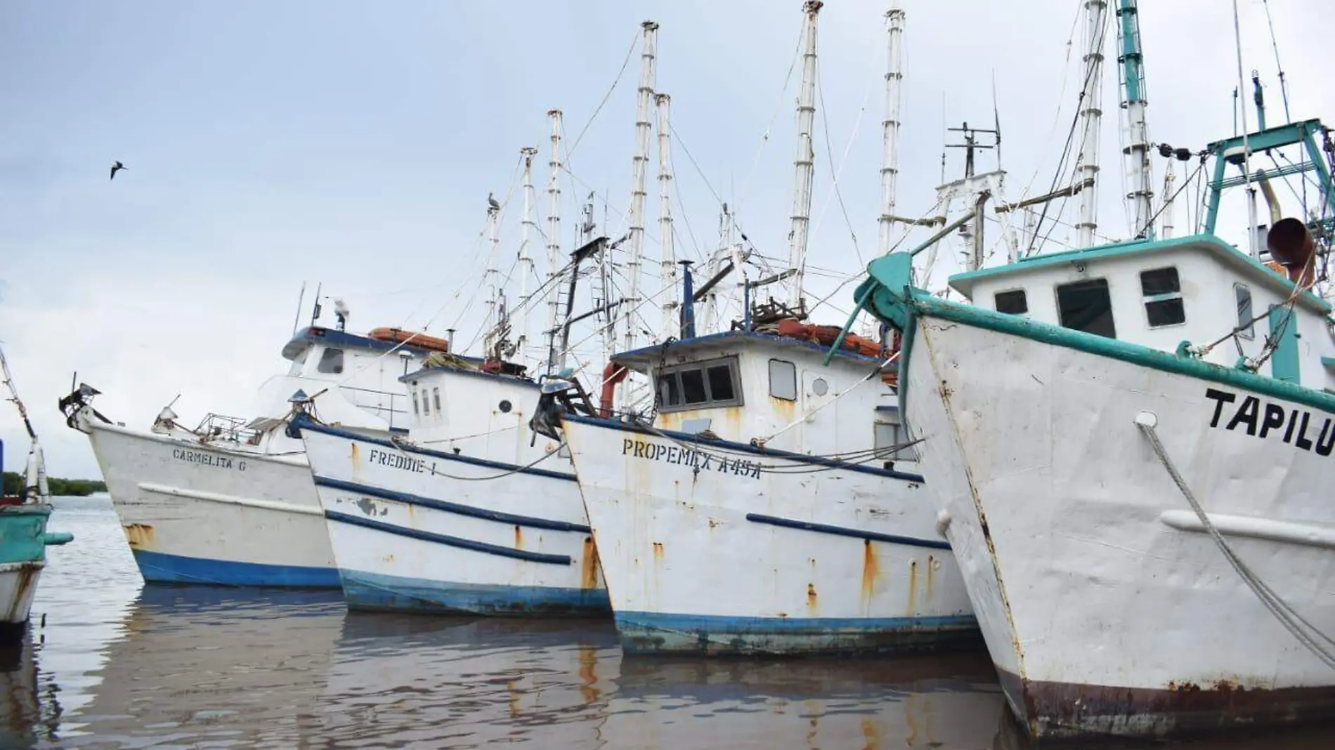 barco pesquero 2